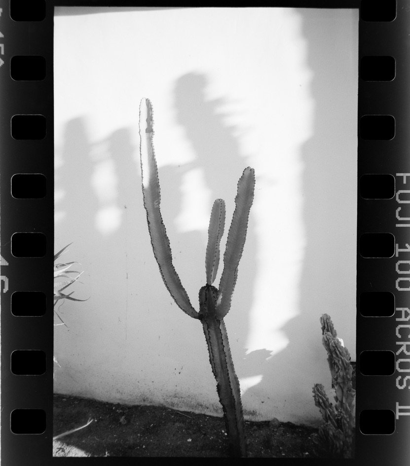 Film 56