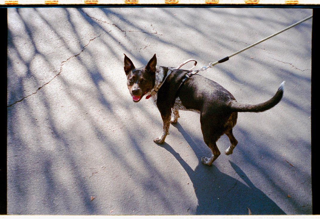 Film 60