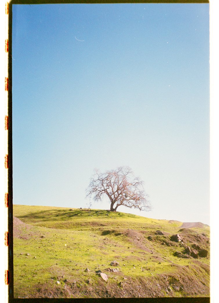 Film 98